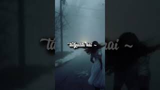 Tarse dil status shorts status song [upl. by Drooff427]