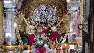 Vadodara  Devotees offer prayer in temple on first day of Navratri  TV9GujaratiNews [upl. by Bush494]