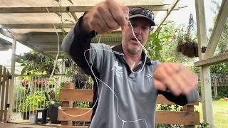 How to Tie a Paternoster Rig [upl. by Nancy]