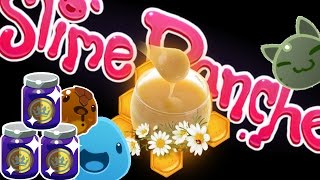 Slime Rancher  Royal Jelly Rare Resource  Advance Apiary all resources gathering  Gameplay  part [upl. by Atteuqram]