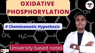 Oxidative Phosphorylation  Mechanism of Oxidative phosphorylation  Chemiosmotic Theory [upl. by Liagiba]