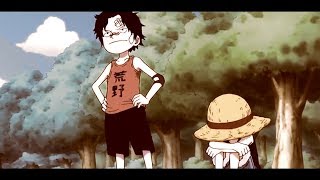 One Piece AMV  One Last Time [upl. by Nylekoorb]