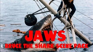 Bruce The Shark Scene Pack  Jaws [upl. by Akkahs442]