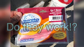 Do they work Ft the Bloodworm Fishbites 9272021 [upl. by Coraline]