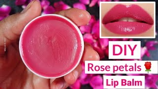 Make lipbalm with only 1 Ingredient  Rose lipbalm with coconut oil  Rose petals lip balm Lipbalm [upl. by Irv915]