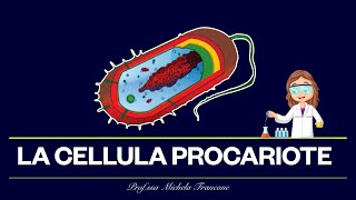 La cellula procariote  scienze [upl. by Leventhal]