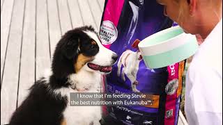 Eukanuba Puppy Food Review [upl. by Eisset]