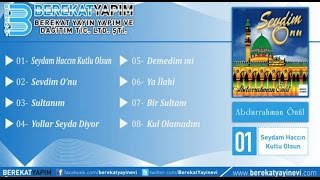 Abdurrahman Önül  Demedim mi [upl. by Pharaoh]