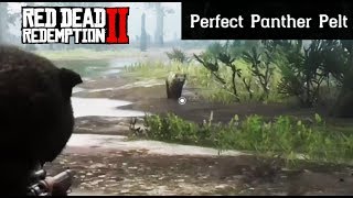 Where To Find A Panther  Red Dead Redemption 2 Perfect Pelt Location Guide RDR2 [upl. by Bolt]