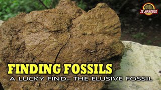 Finding Fossils A Lucky Find The Elusive Fossil [upl. by Ahseined501]