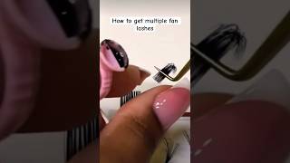 Slow and easy way to make multiple fan lashes extensions lashes shorts [upl. by Delainey]