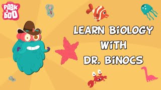 Learn Biology With Dr Binocs  Compilation  Learn Videos For Kids [upl. by Wernda]