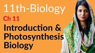 FSc Part 1 Biology Ch 11  Explain Photosynthesis  11th Class Biology [upl. by Maillliw134]