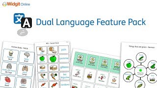 Dual Language Feature Pack  Translation Addon to Widgit Online [upl. by Eldorado]