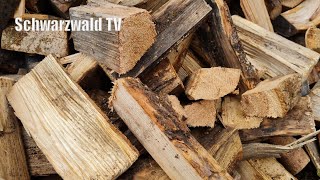 🚨🔥 Holzpreise explodieren Wird Grillen und Heizen mit Holz bald zum Luxus [upl. by Acessej642]