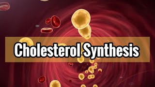 Cholesterol And Eicosanoids Synthesis Lec13 شرح [upl. by Anier]