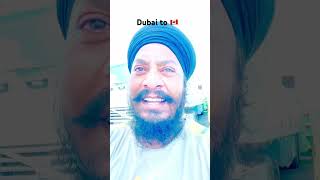 Dubai to Canada 🇨🇦 Driver Department Dubai🇦🇪DriverDeportment youtubeshorts [upl. by Ettennaj]