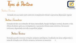 Tipos de Dentina  CD Concursos [upl. by Harwell]