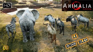 ANIMALIA SURVIVAL GAMEPLAY 8 ON INCARNE LE GNOU BLEU DAFRIQUE  FIGHT VS LION [upl. by Eirb]