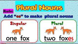 NOUN  Adding es to Words Ending in CH SH S X amp Z  Plural Nouns  Liy Learns Tutorial [upl. by Corron530]