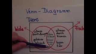 VennDiagramm  Erklärung [upl. by Rhines272]