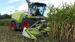 Mais oogst 2019 van start met Claas Jaguar 950 Loonb Sportel [upl. by Hairacaz]