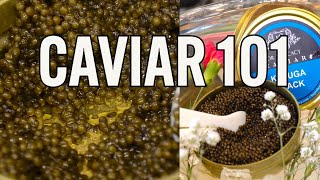 Caviar 101 [upl. by Ettie]