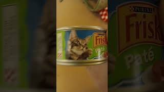 Friskies Ad 2023 [upl. by Fallon]