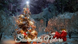 Atmosfera Natalizia 🎄 con Musica Rilassante e Paesaggio Innevato  HD [upl. by Merell]