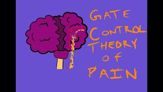 What is Pain  Melzack amp Walls 1965 Gate Control Theory of Pain [upl. by Safko]