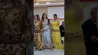 halparke kurdishdance dance [upl. by Irreg]