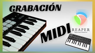 ¿Cómo grabar MIDI en Reaper [upl. by Lannie519]