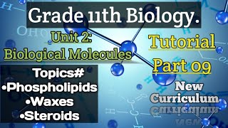 Phospholipids Waxes Steroids Class 11Biology Unit2 Biological Molecules Part9 [upl. by Nnayhs]