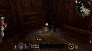 Baldurs Gate 3 ClericDruid Part 66 I go through the mods that I have at beginning of video [upl. by Lowson]