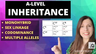 Polygenic Inheritance  Genetic Basis of Inheritance  Biology Class 12 [upl. by Orgel]