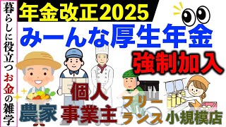 【年金制度】今回の年金改正は大激変！フリーランス・個人事業主も農家さんも厚生年金（社保）強制加入へ【106万円･130万円の壁主婦年金･第3号被保険者業務委託】 [upl. by Aivata582]