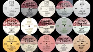 19901992  Nu Groove vs Strictly Rhythm  Vinyl Mix [upl. by Maer]