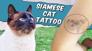 My Siamese Cat in Ink Momo’s Tattoo Journey [upl. by Lau]