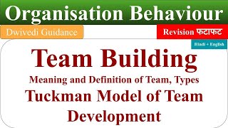 Team Building in organisational behaviour Tuckman Model of Team Development process of team build [upl. by Latonia]