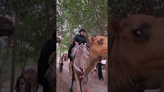 Ones Khalid bin waleed said ytshorts viral viralshort [upl. by Ellenor]