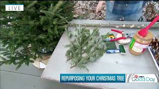 How to Repurpose Your Christmas Tree  Garden Guy Dale [upl. by Meda391]