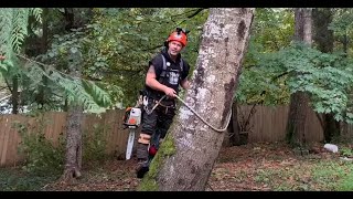 Tree climbing with spurs for the first time  TIPS [upl. by Lynn]