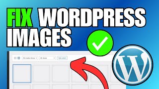 FIX WordPress Images Not Showing in Media Library [upl. by Ramah60]