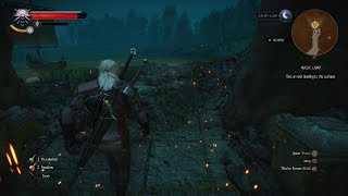 Taking Notes From Keira Metz The Witcher 3 [upl. by Christopher]