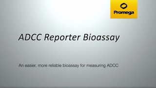 ADCC Reporter Bioassay  Cells as Critical Reagents [upl. by Yelahs]