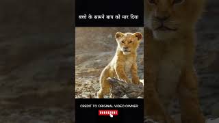 The lion king movie explained in hindi shorts [upl. by Photima]