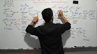Biochimie Métabolisme exrcice 1 S4Svi [upl. by Hernardo215]