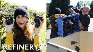 I Learned How To Be A Wine Maker  Lucie For Hire  Refinery29 [upl. by Belanger944]