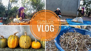 GUNLUK VLOG  KOY FASULYESI TEMIZLEME ✅ [upl. by Yuhas874]