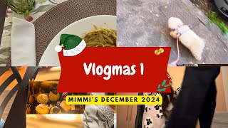 Vlogmas 1  Pranzo con Amorino e primo shopping natalizio 🎄 [upl. by Duax]